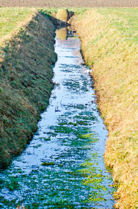 Ditich Drainage